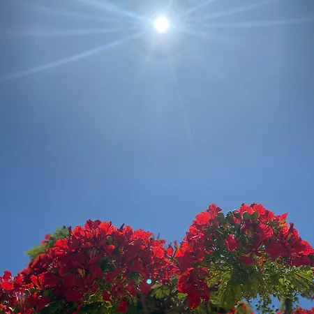 Lejlighed Tisalaya Bright Maspalomas (Gran Canaria)